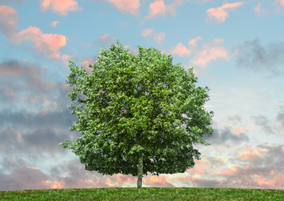 The Importance of Allyship in the Workplace